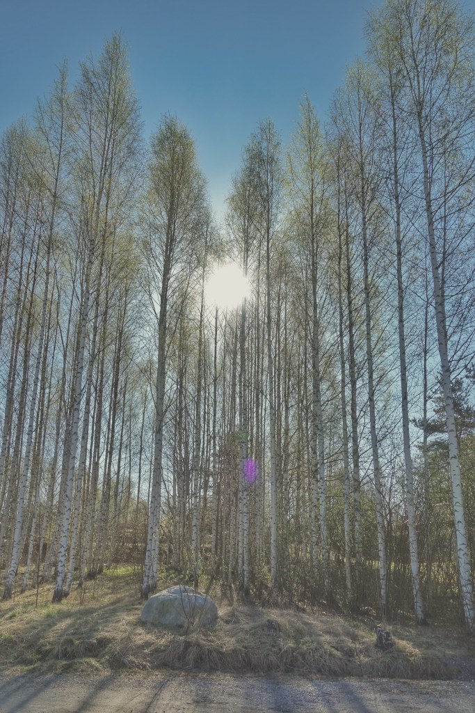 File 5.5.2016 12.31.12